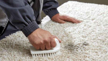 Professional Rug Cleaning Research