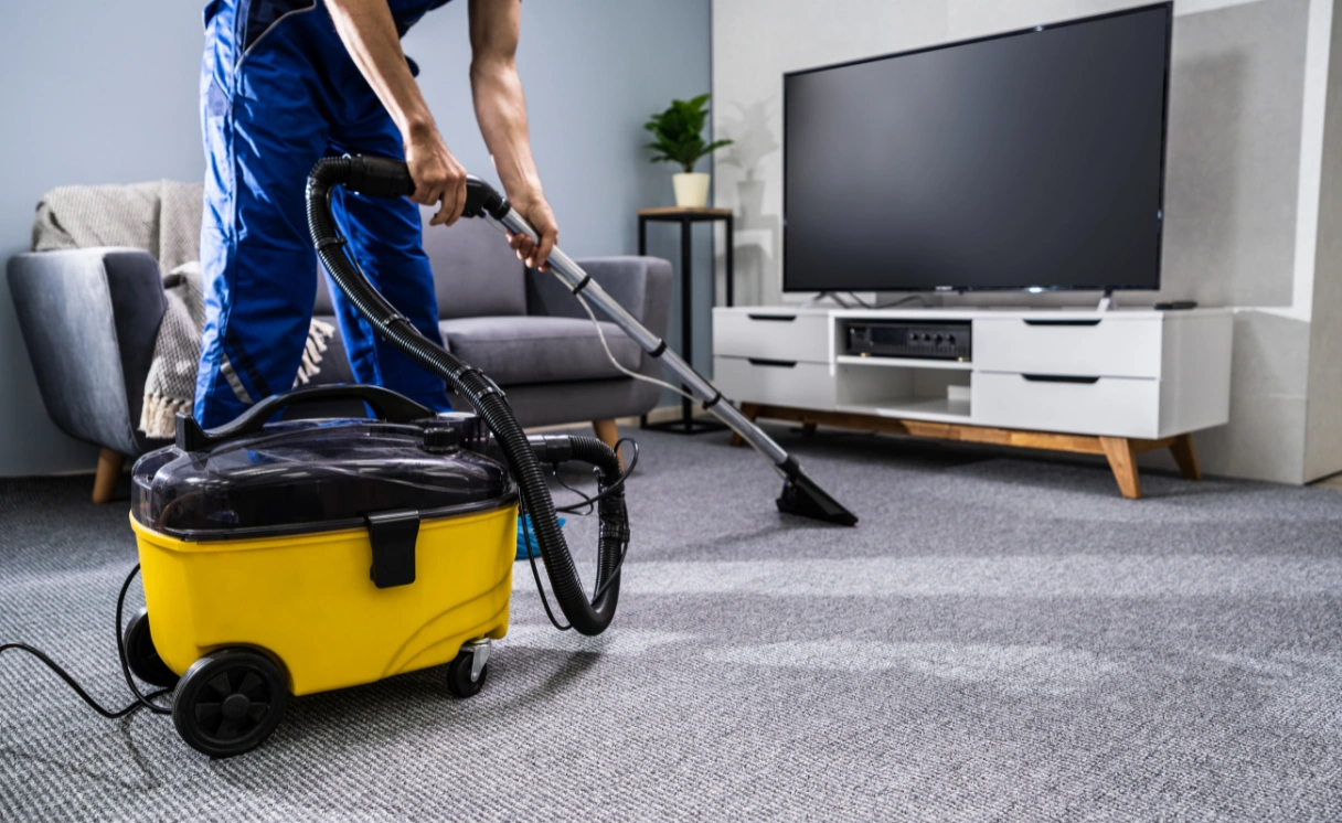 Extract Rug Cleaning Research Contact Office